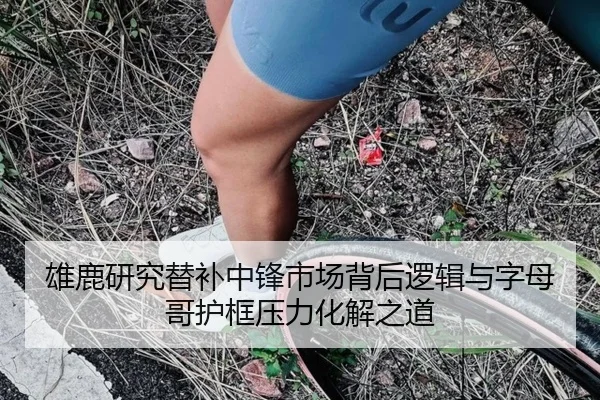 雄鹿研究替补中锋市场背后逻辑与字母哥护框压力化解之道